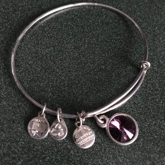 Alex and Ani Expandable Wire Bracelet - Picture 6 of 11